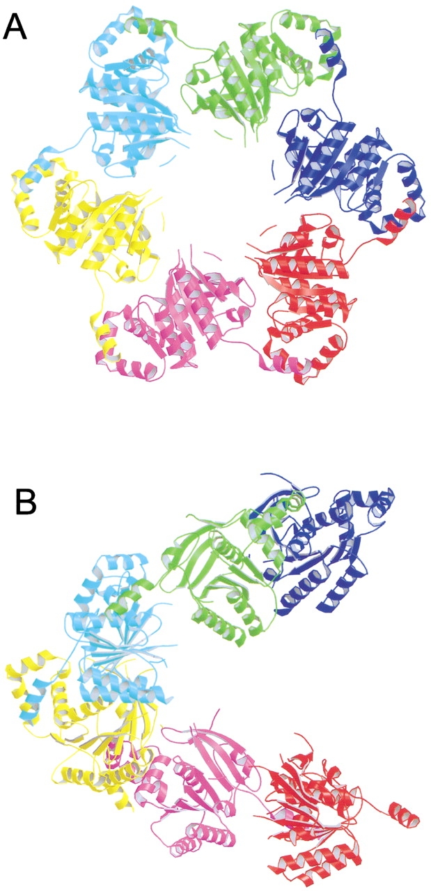 Fig. 6.