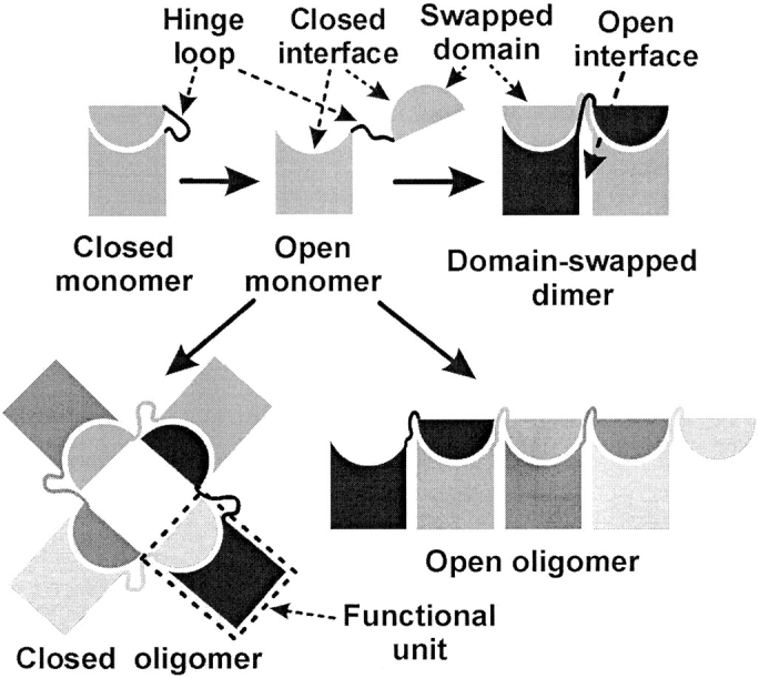 Fig. 1.