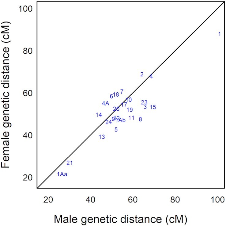 Figure 5: