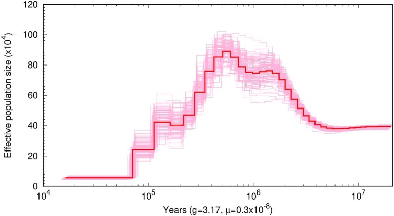 Figure 6: