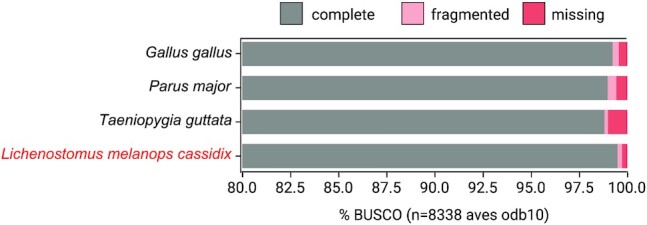 Figure 2: