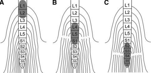 Fig. 1