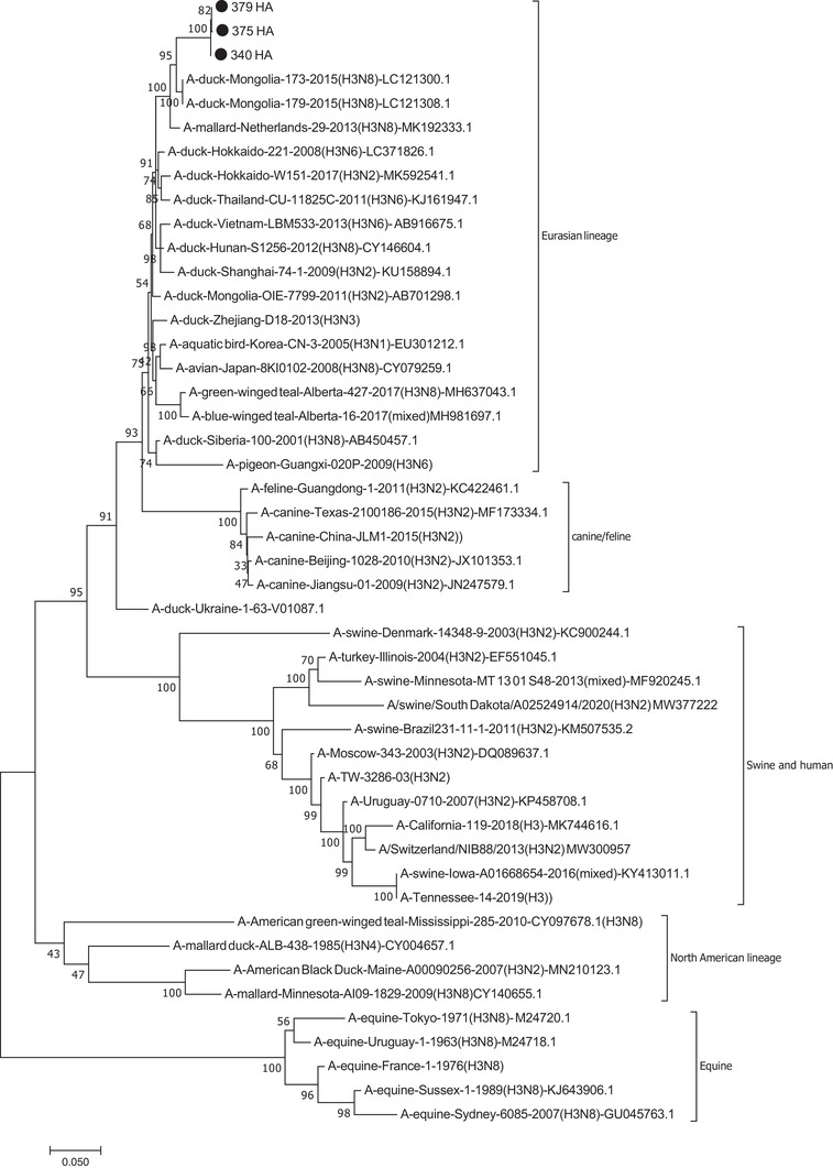 FIGURE 2