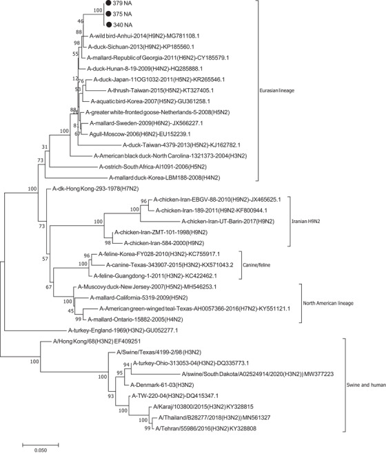 FIGURE 3