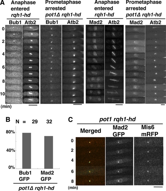 FIG 2