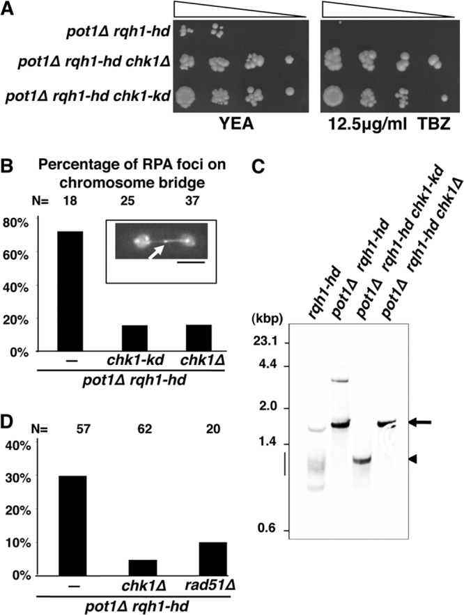 FIG 4