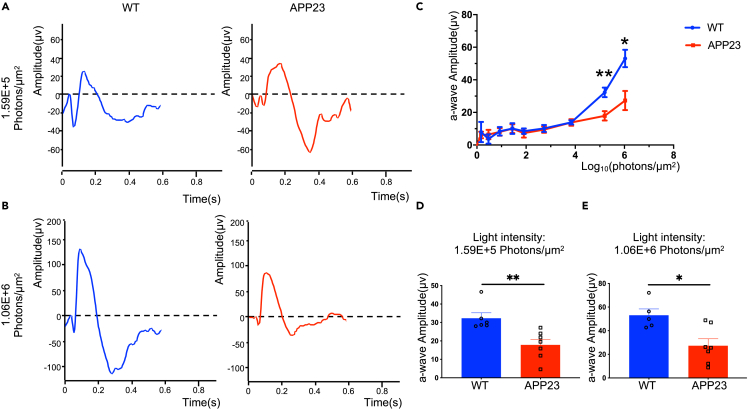 Figure 6