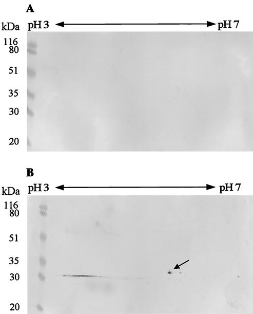 FIG. 5.