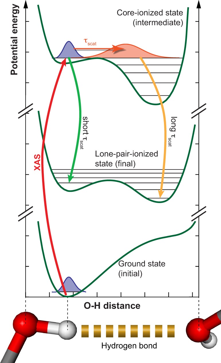 FIG. 5.