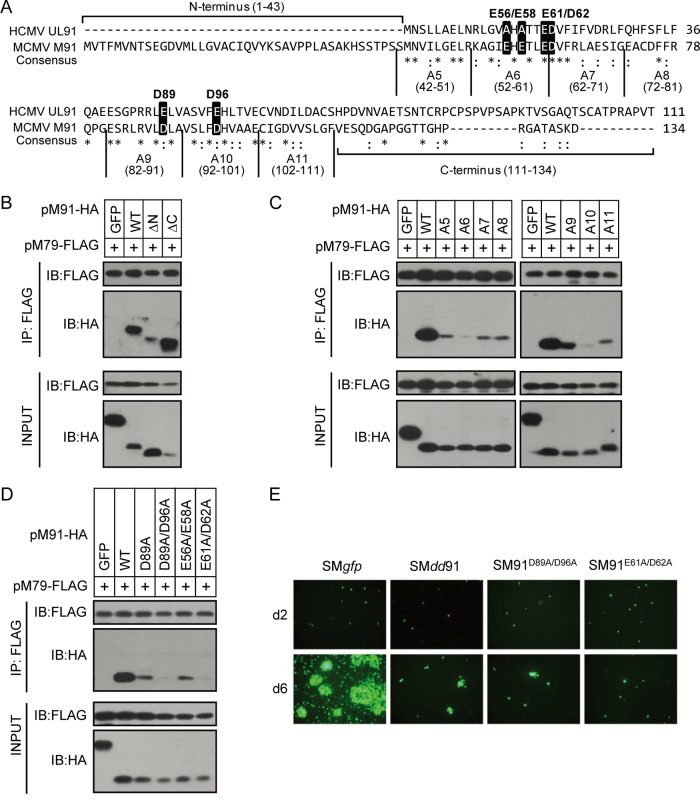 FIG 6