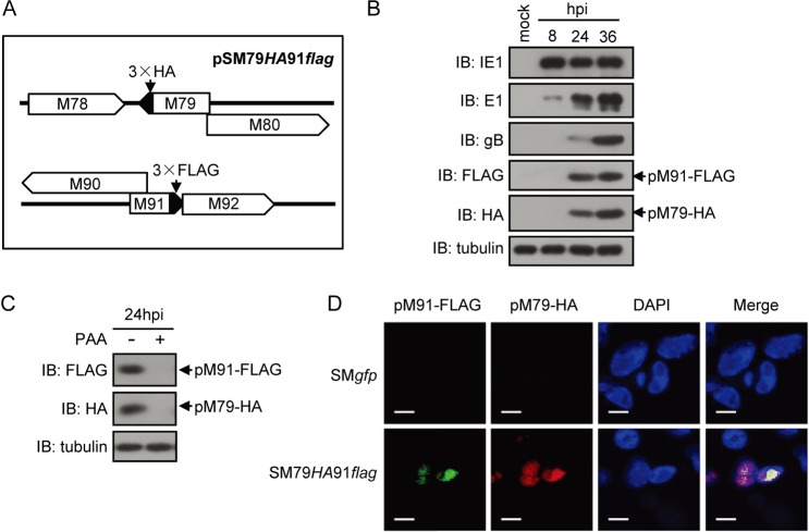 FIG 3