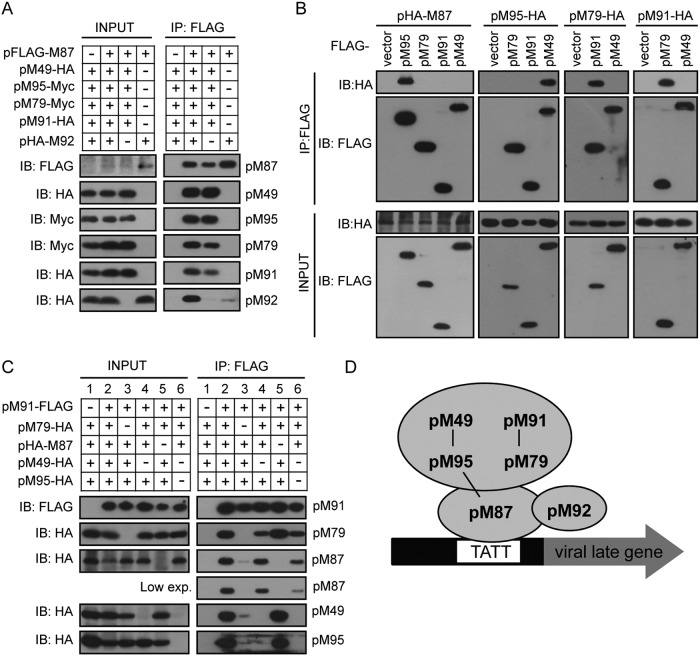 FIG 2