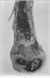 270-1