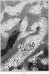 270-3