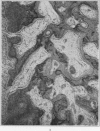 270-1