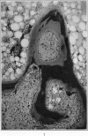 270-3
