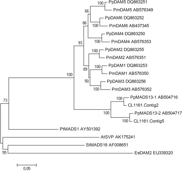 Figure 10