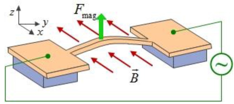 Figure 29