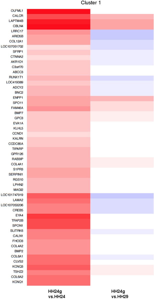 Figure 1—figure supplement 1.