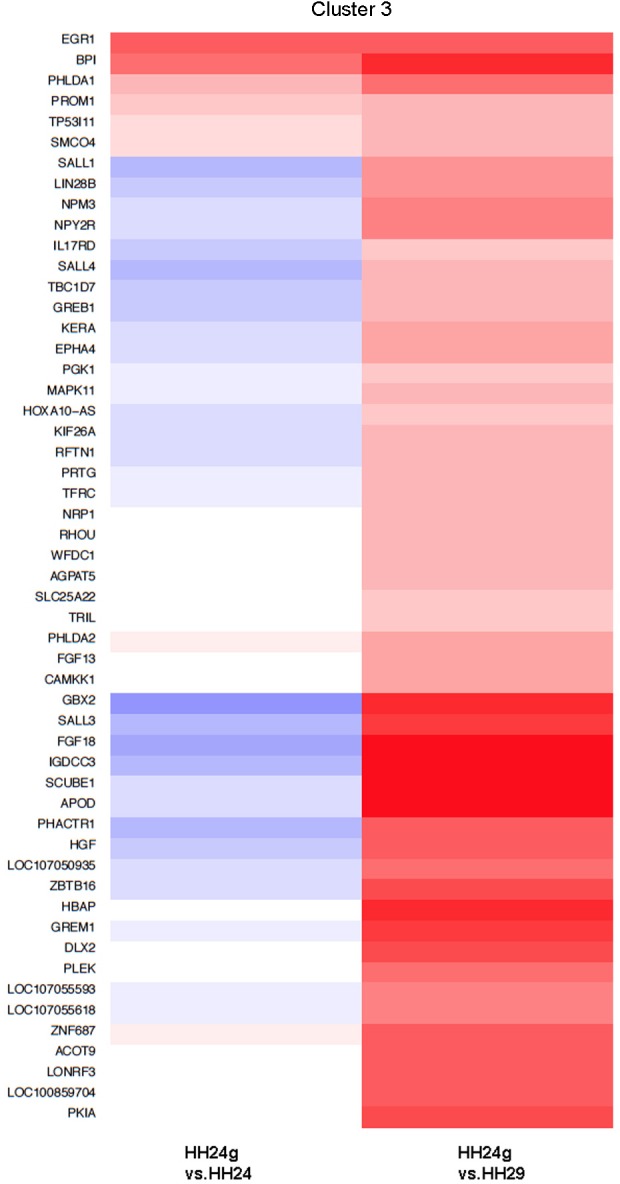 Figure 1—figure supplement 3.