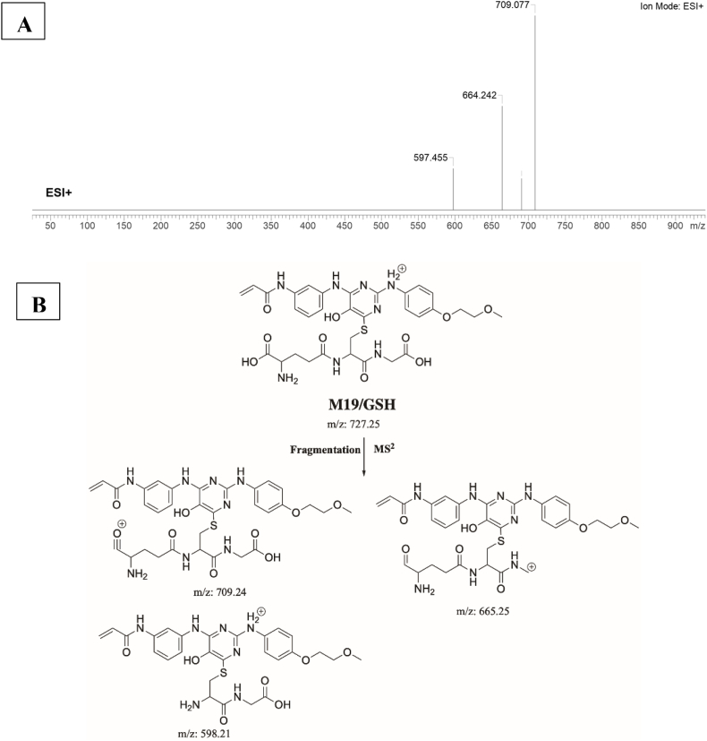 Fig. 12