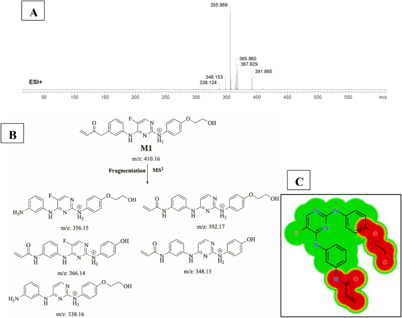 Fig. 6