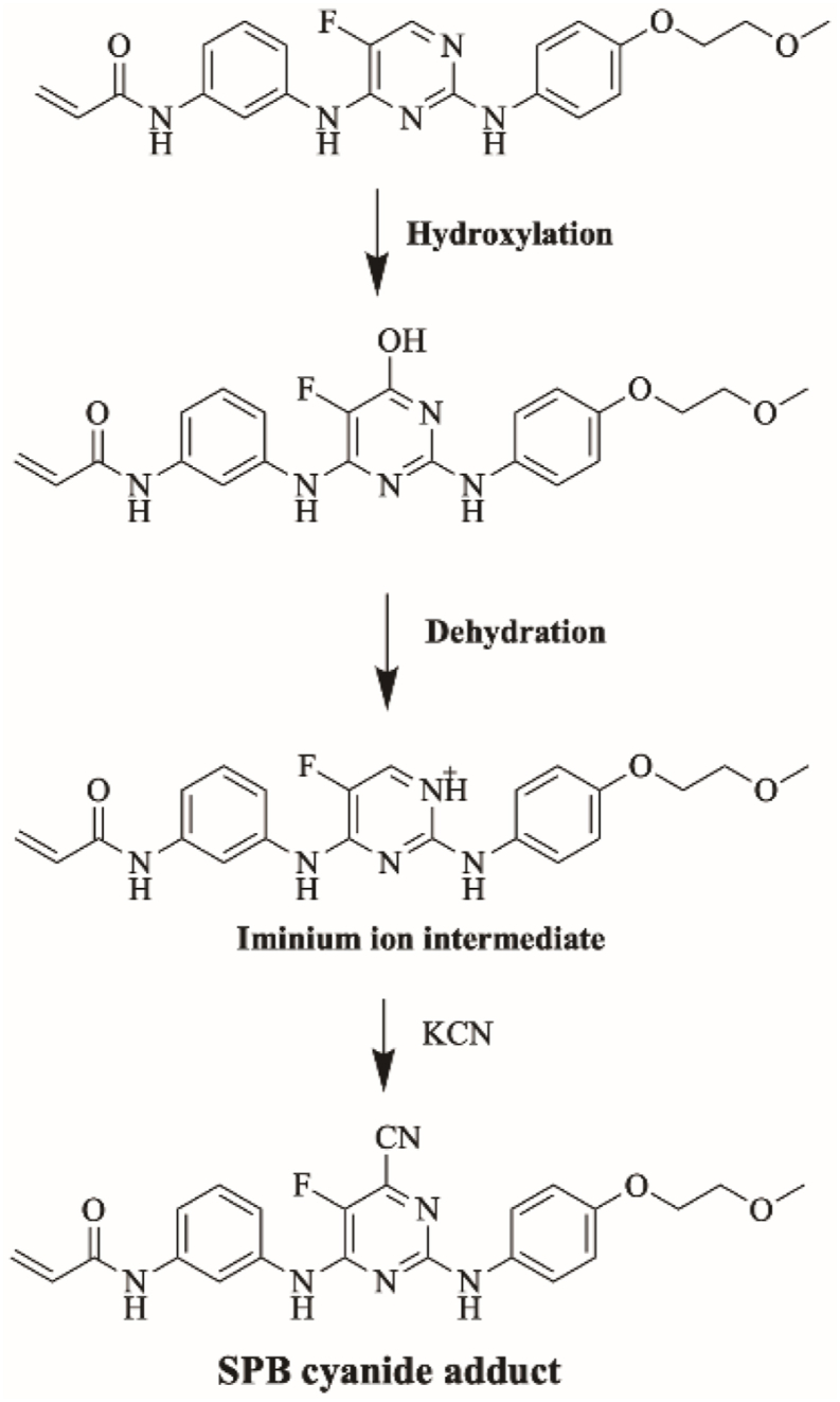Fig. 10