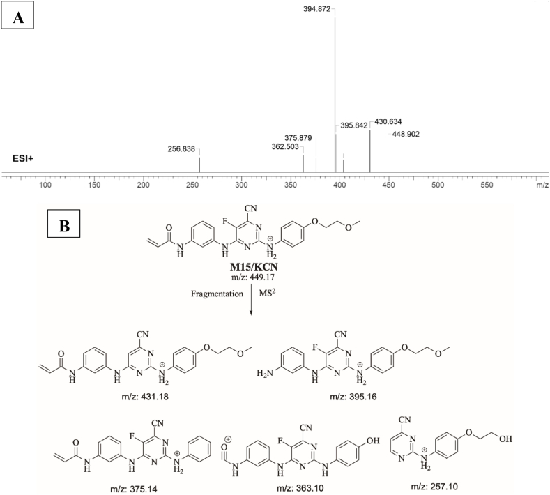 Fig. 9