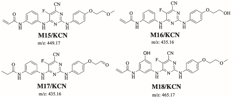 Fig. 11