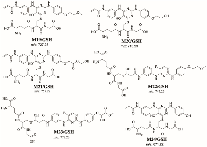 Fig. 13