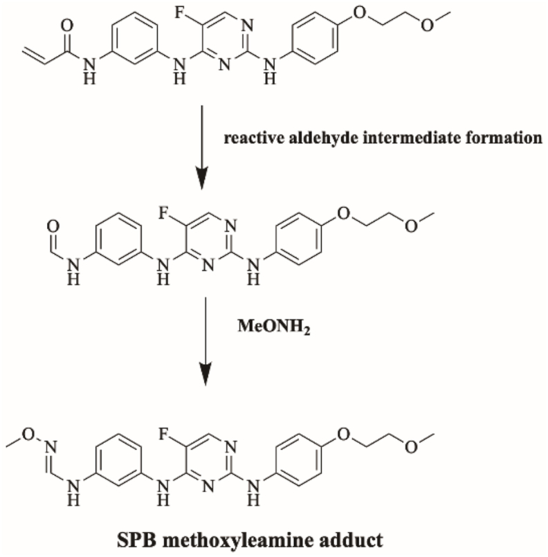 Fig. 16