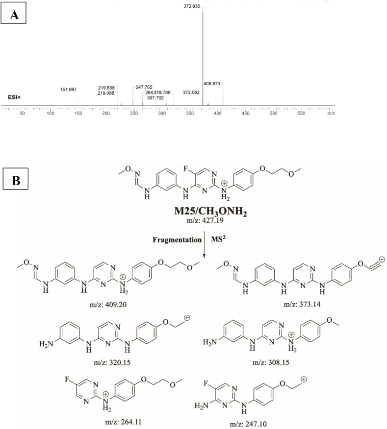 Fig. 15