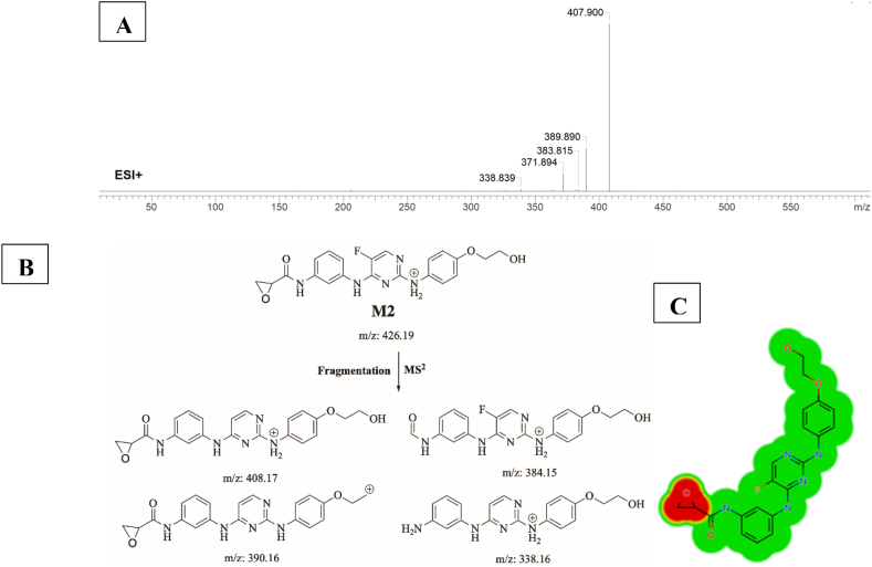 Fig. 7