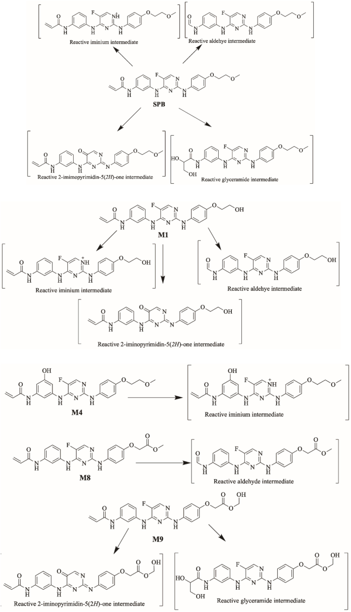 Fig. 18