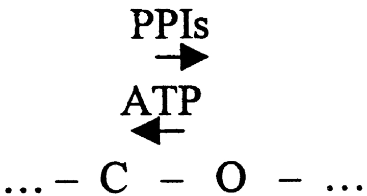 Scheme S3