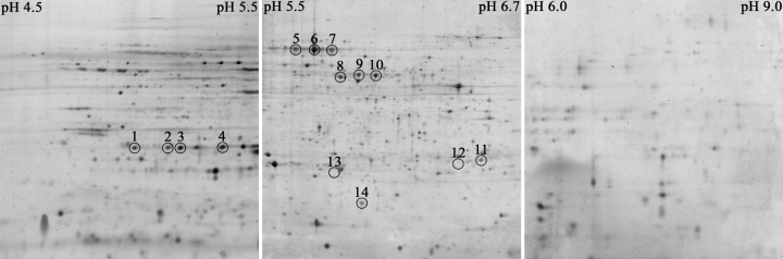 Figure 3.