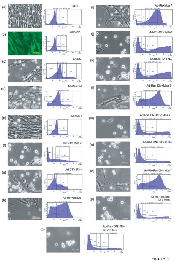 Figure 5