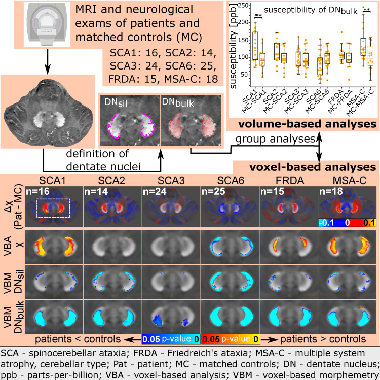 Graphical Abstract