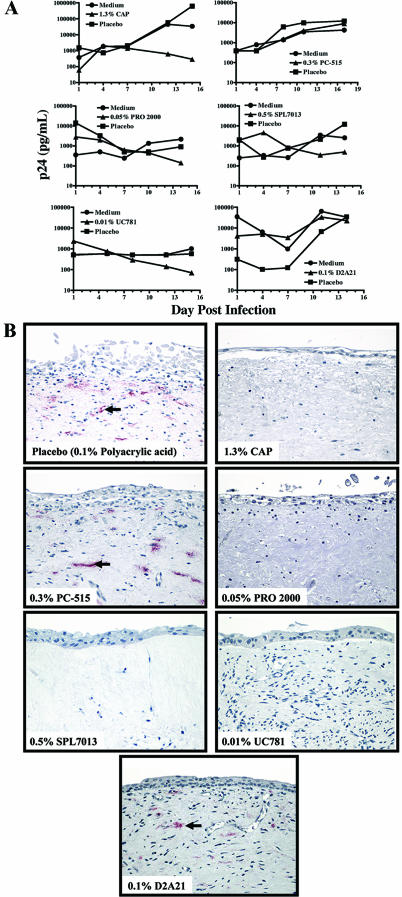 FIG. 4.