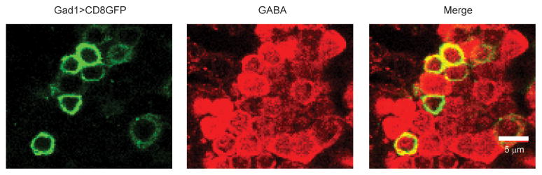 Extended Data Figure 9