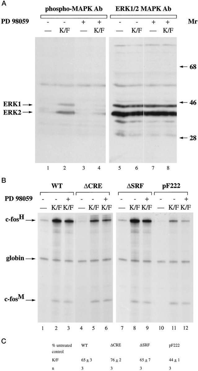 Fig. 9.