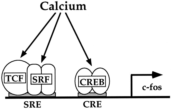 Fig. 10.