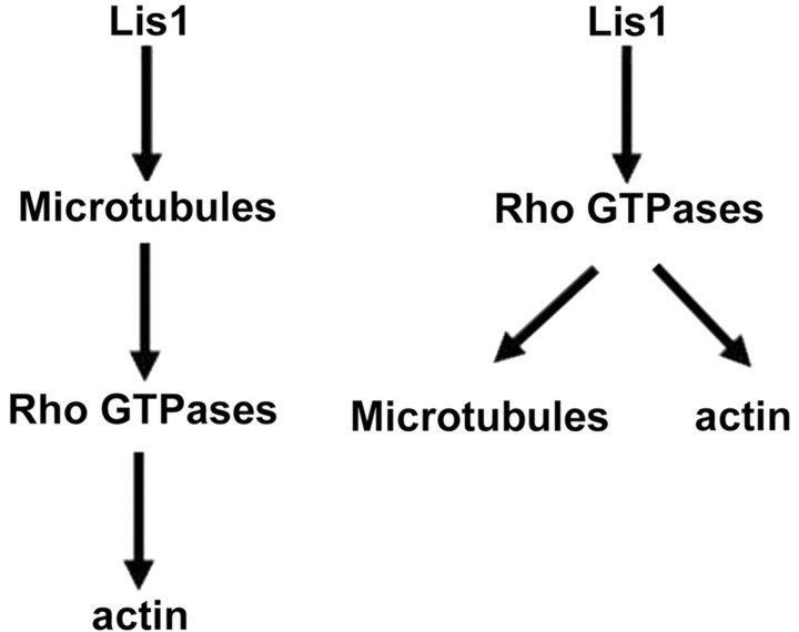 Figure 9.