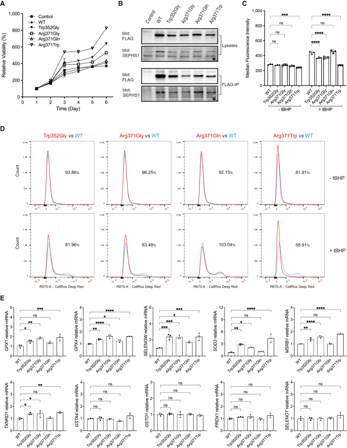 Figure 4