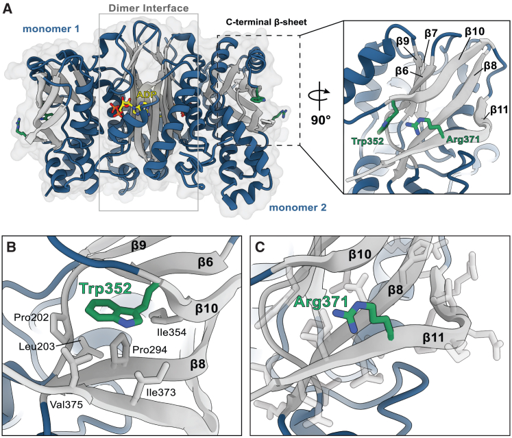 Figure 2