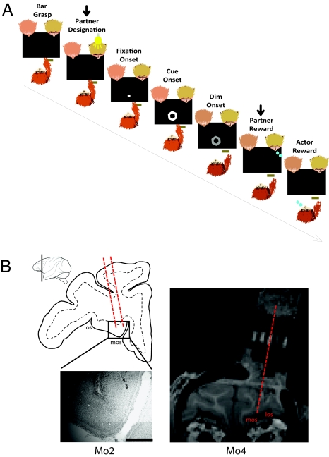 Fig. 1.