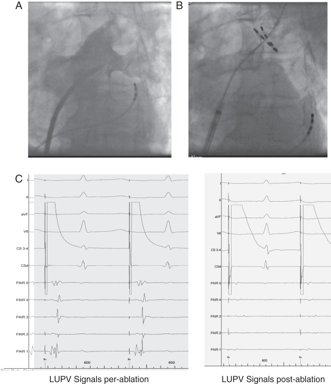 Figure 1