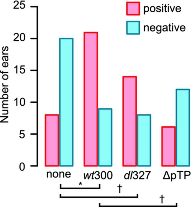 graphic file with name 12216fig1g.jpg