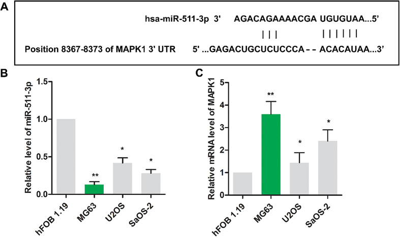 Figure 1.