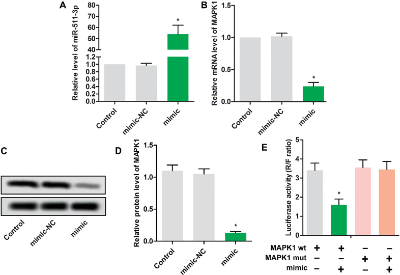 Figure 2.